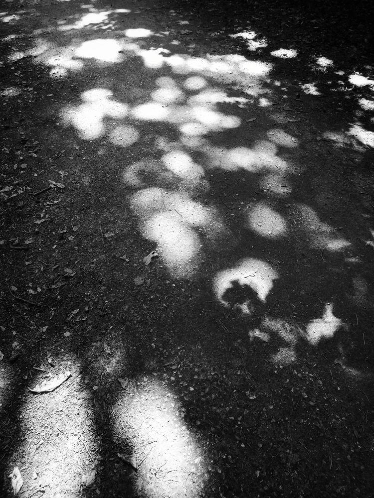 Photograph by Светлана Барабанова