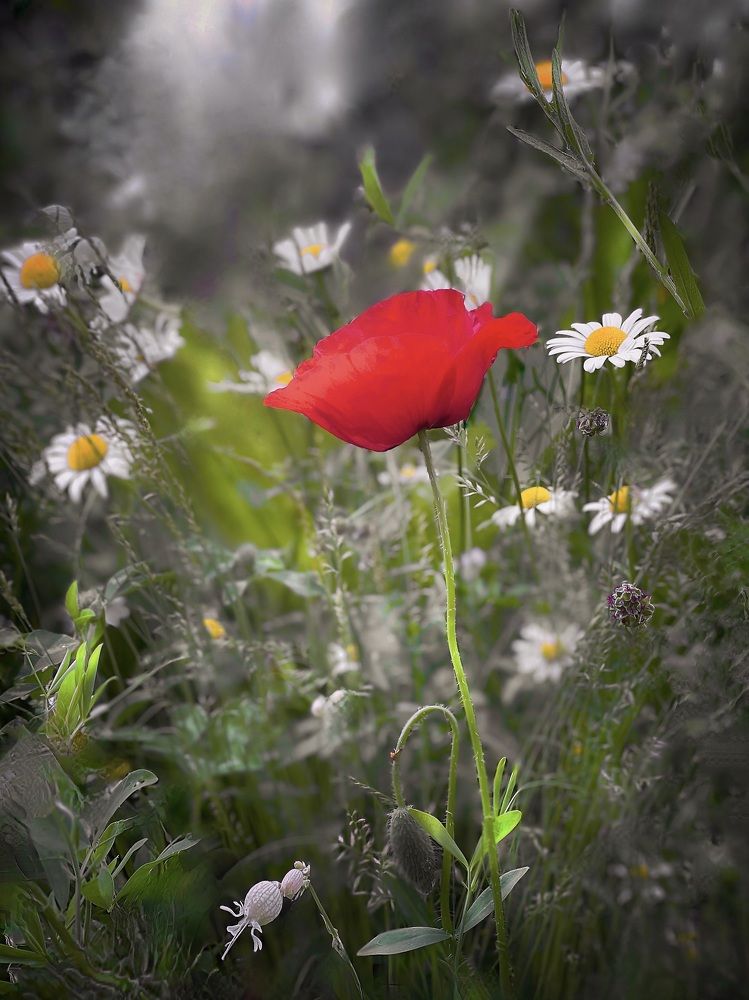 Photograph by Искандар Газизов