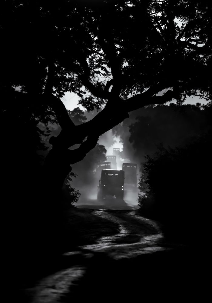 Yala National Park, Sri Lanka