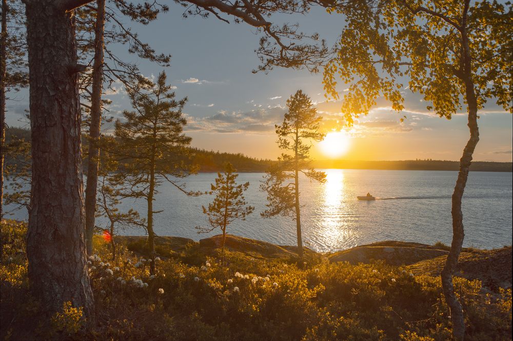 Фотография автора Алексей Новиков