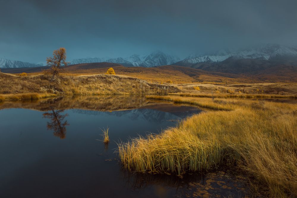 Фотография автора Алексей Новиков