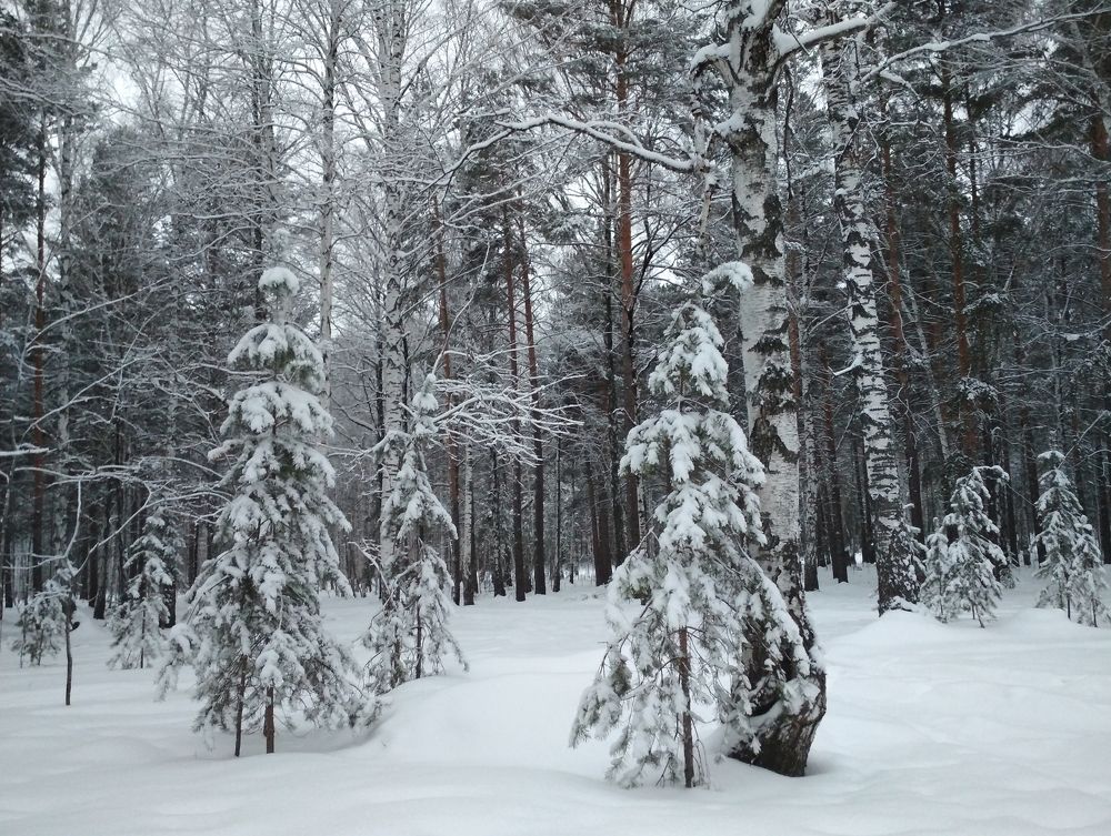 Photograph by Наталья Баженова