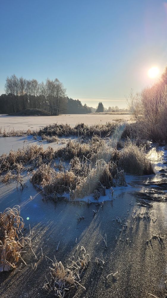 Photograph by Татьяна Дашкевич