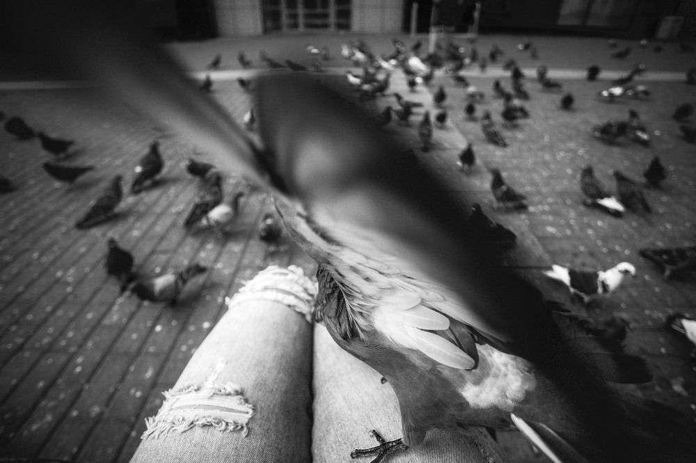 Photograph by Ирина Малина