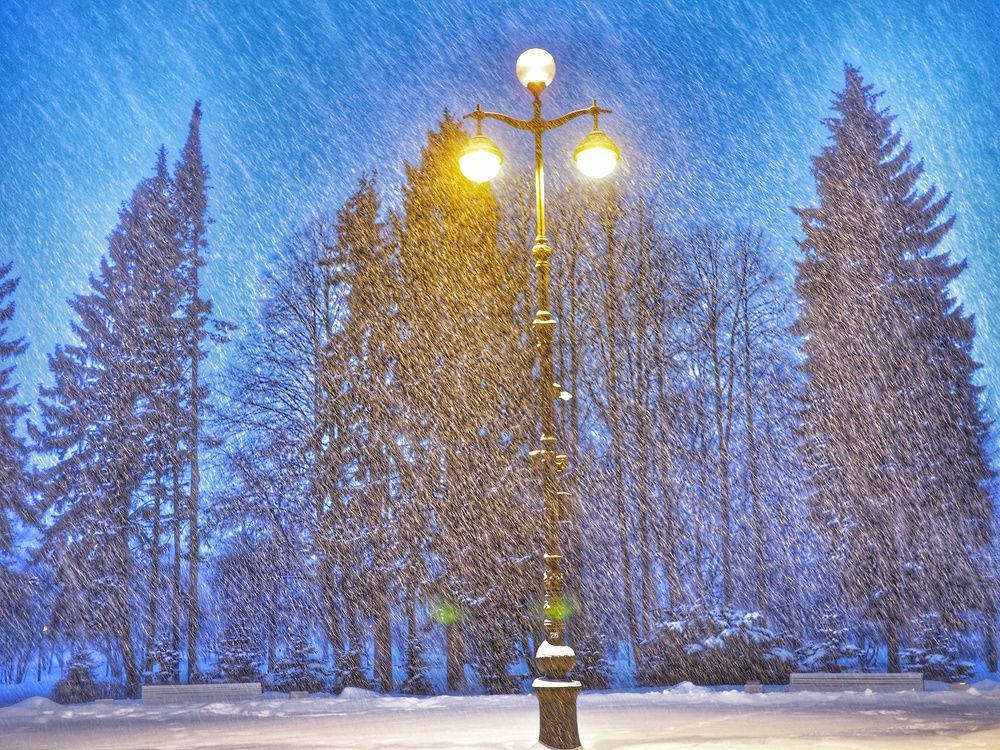 Photograph by Наталия Романова