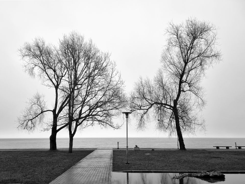 Photograph by Rolandas Valančauskas