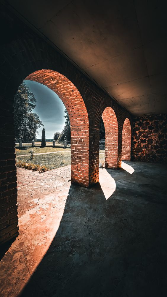 Photograph by Татьяна Дашкевич