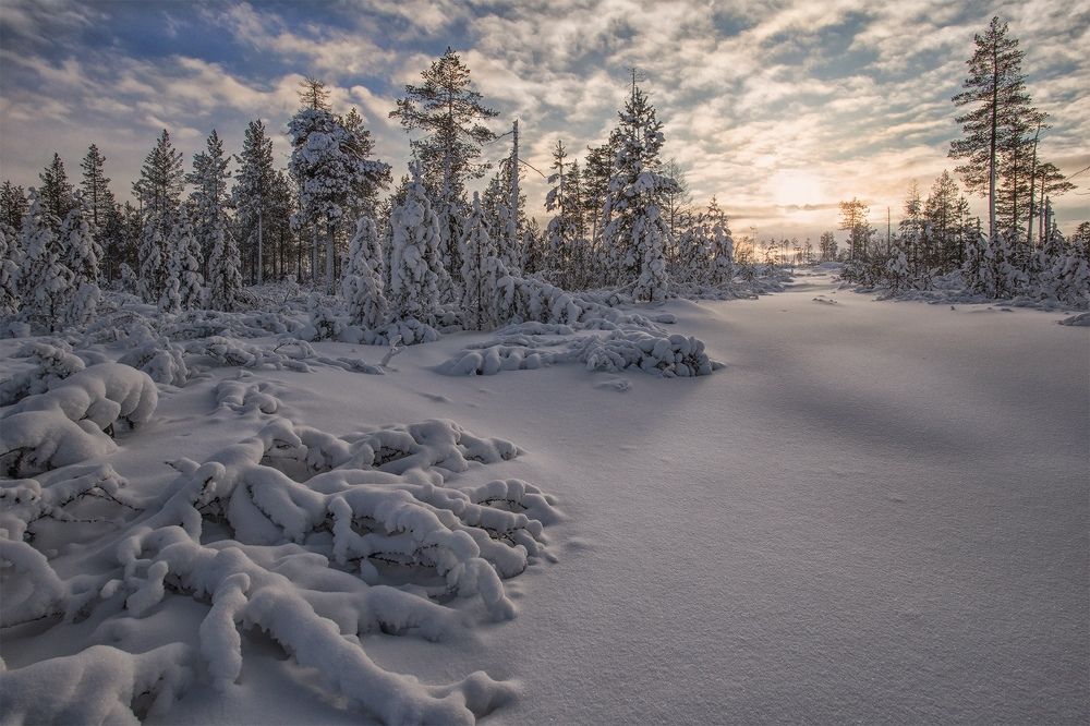 Photograph by Евгения Левина