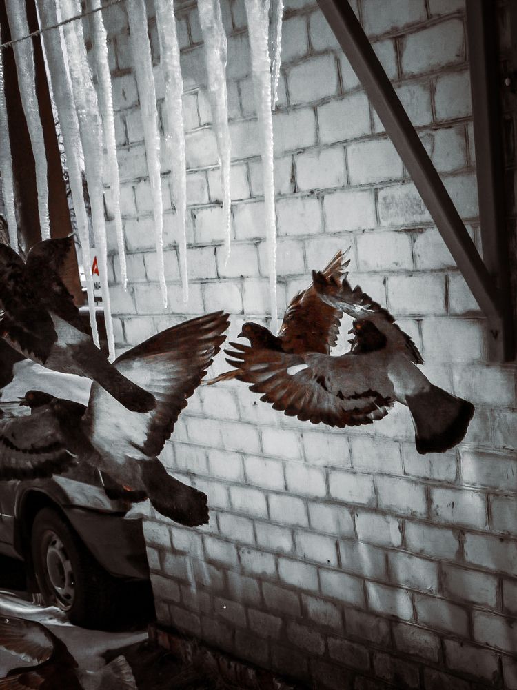 Photograph by Тимур Мулла-Галеев