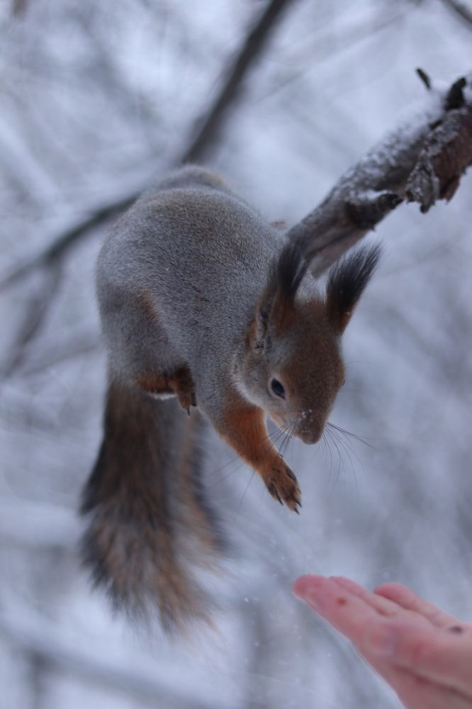 Photograph by Мария Глухова