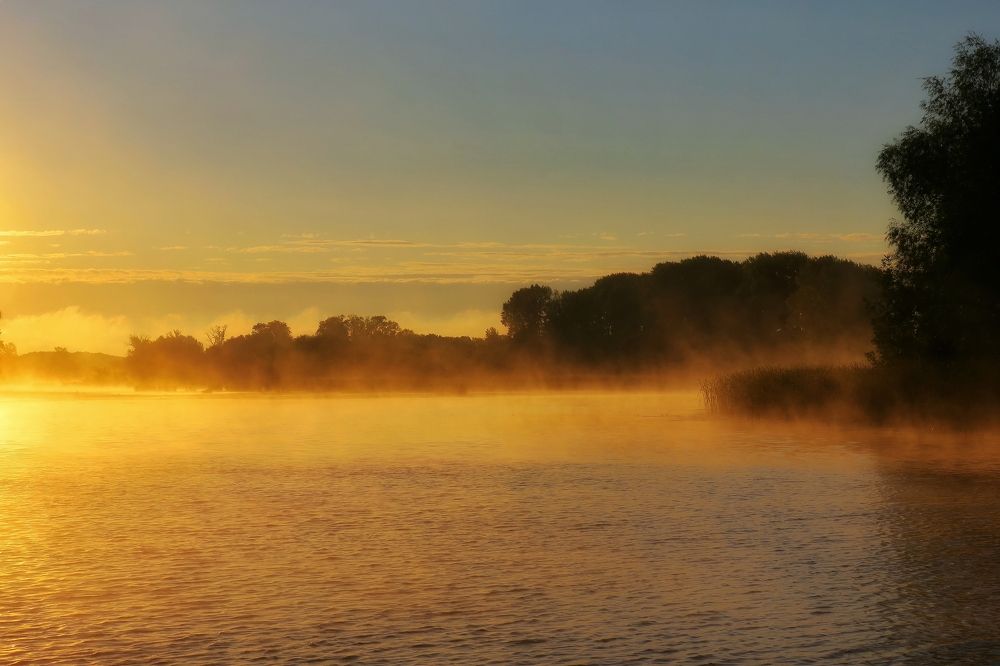 Рассвет в тумане