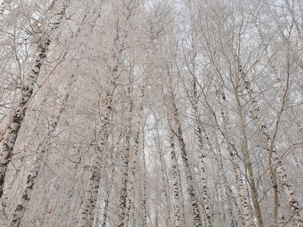 Photograph by Виктор Прокопьев