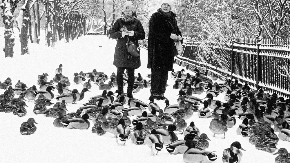 Photograph by Пётр Мурашов