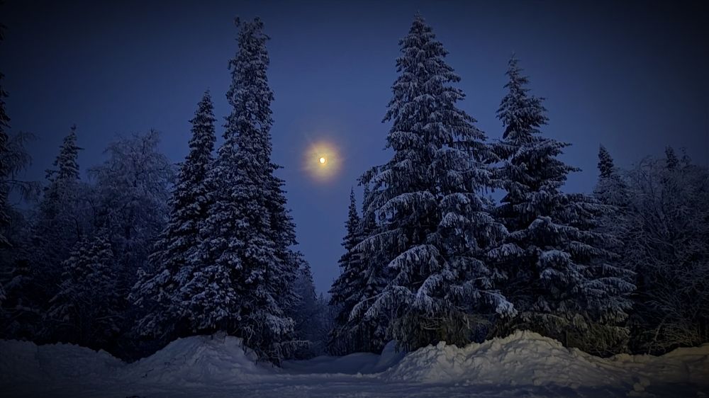 Photograph by Ольга Метлицкая