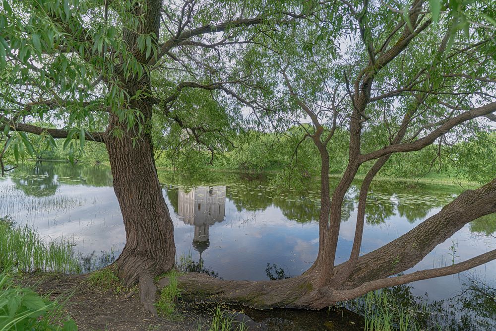 Photograph by Людмила ЧЕРНИКОВА