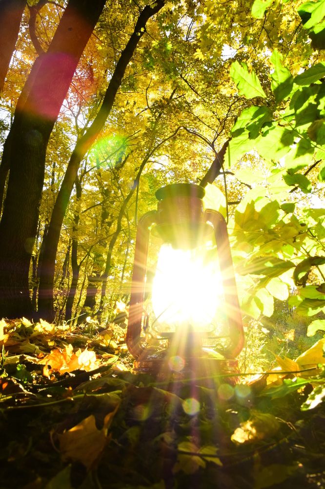 Photograph by Ольга Рыкова