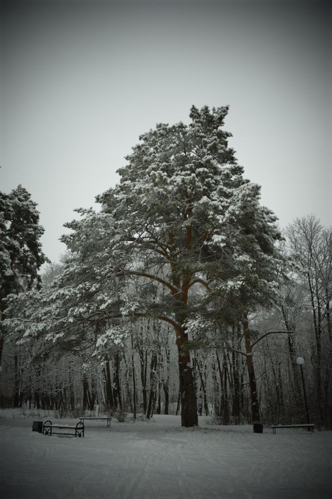 Photograph by Ольга Рыкова