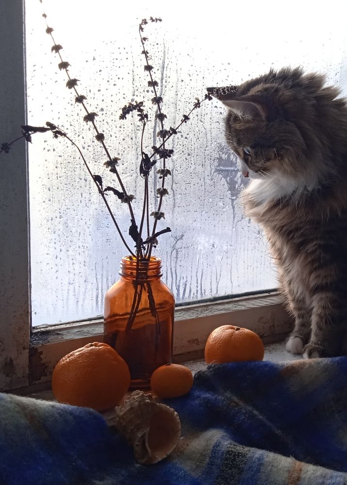 Photograph by Евсеева Валентина