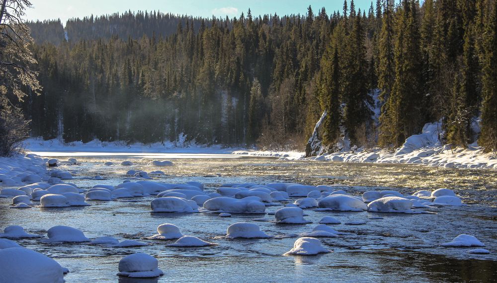 Фотография автора Александр Довганюк