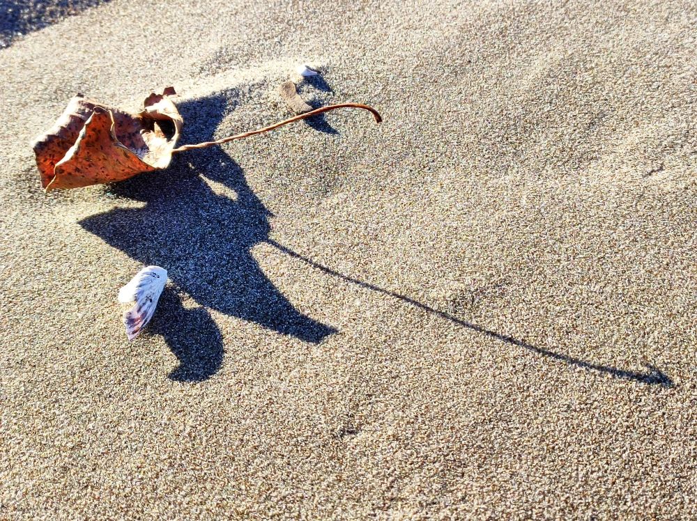 Photograph by Надежда Батракова