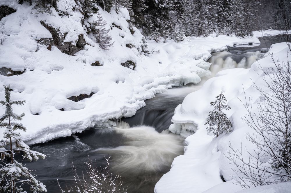 Photograph by Алена Устинович