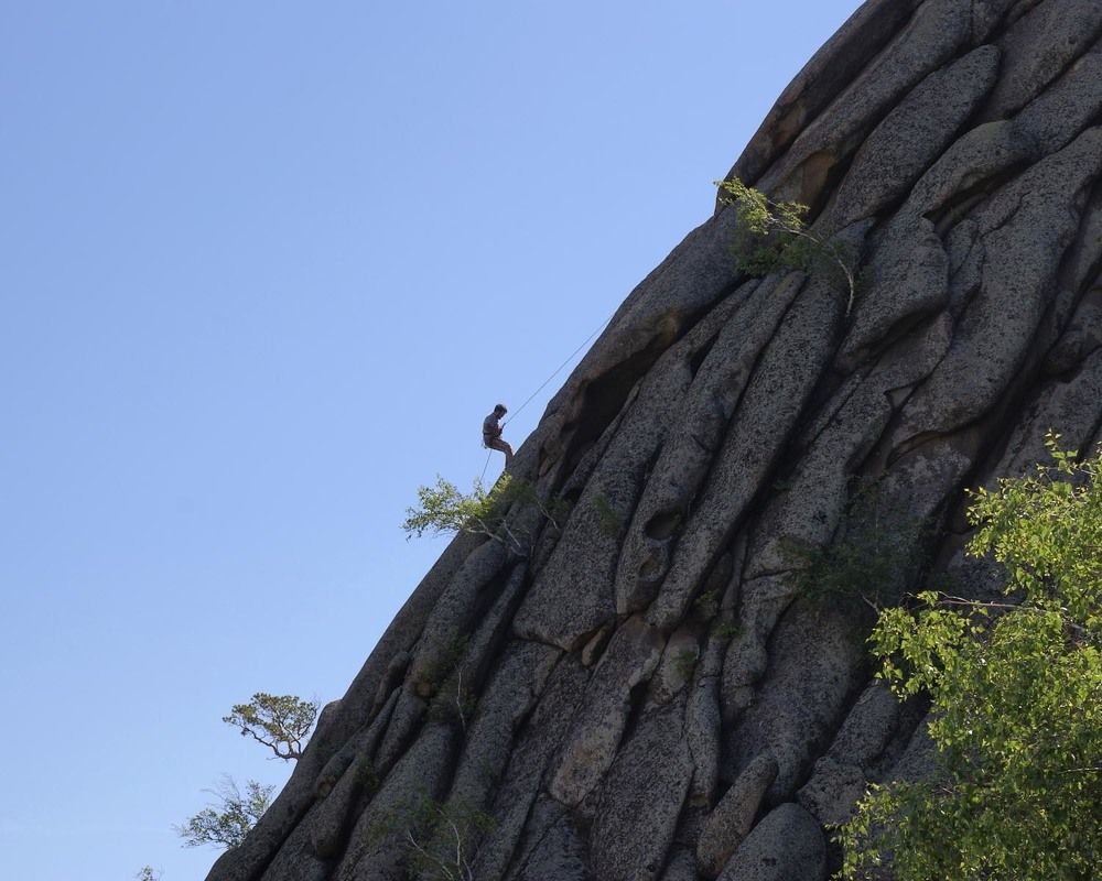 Фотография автора Татьяна Добровольская