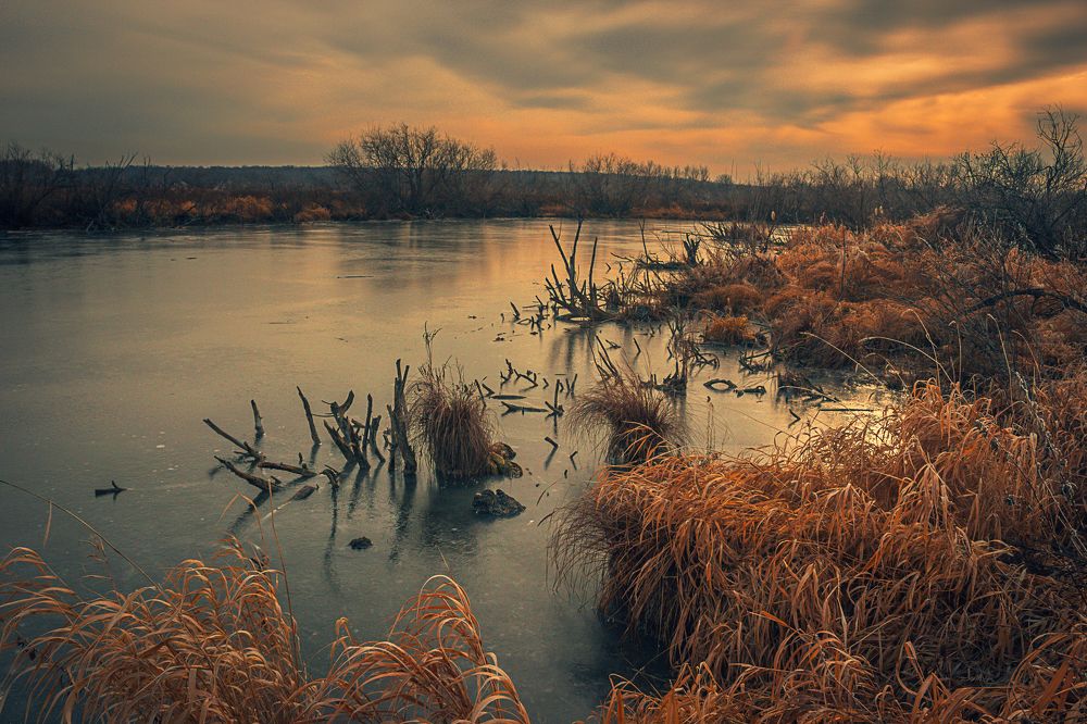 Photograph by Александр Жариков