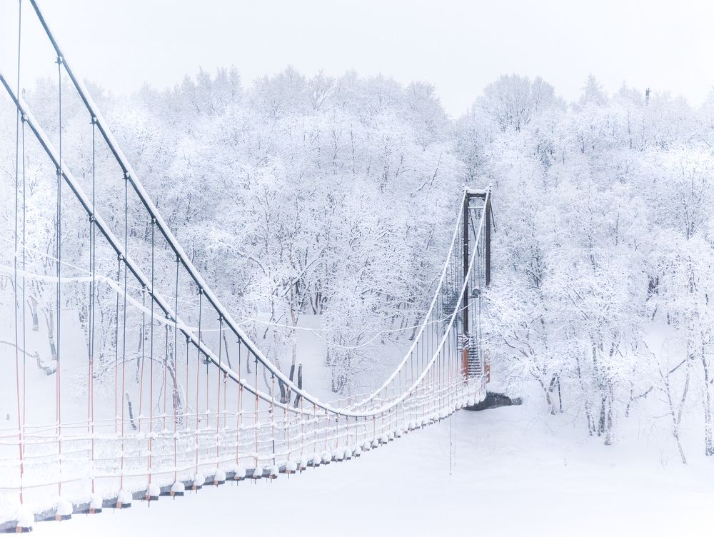 Photograph by Рохмистрова Мария