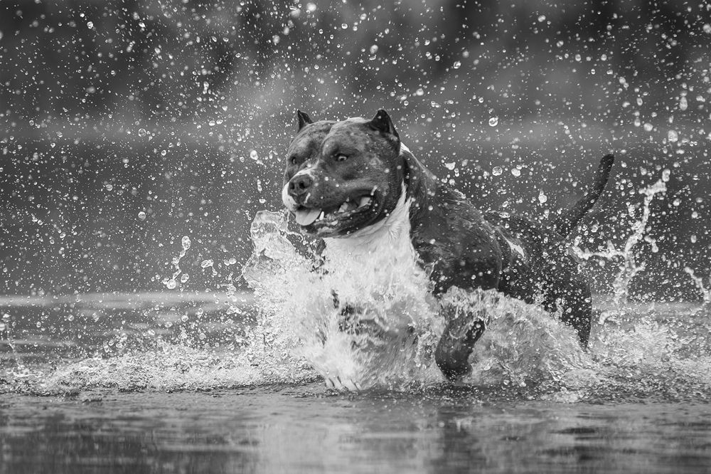 Photograph by Ольга Легенькая