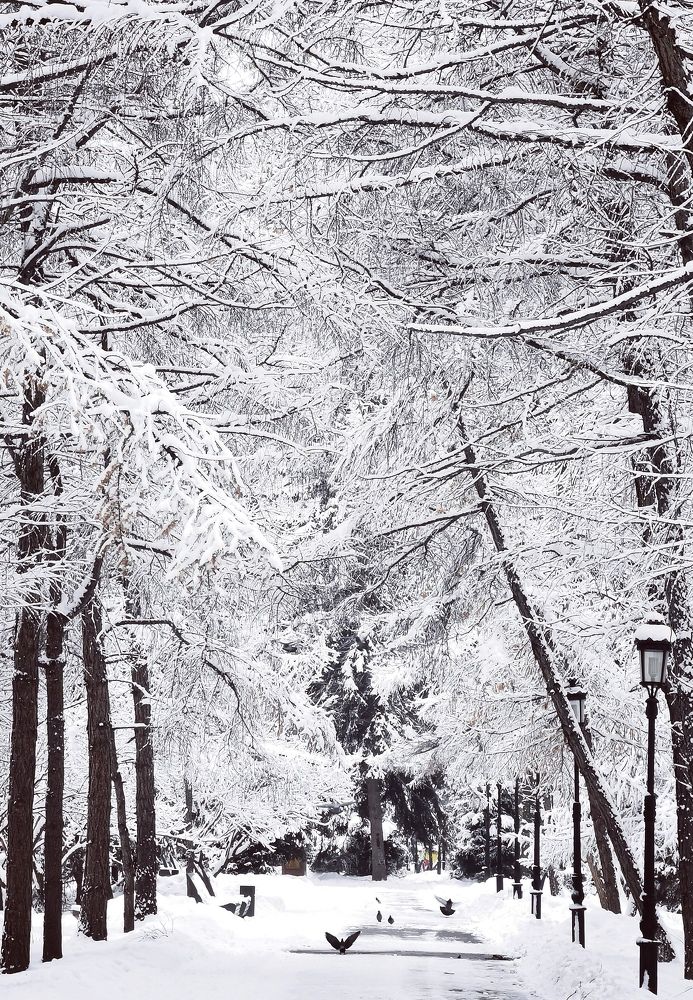 Photograph by Иван Шатный