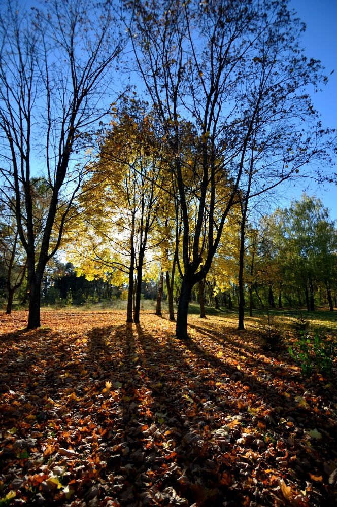 Photograph by Дмитрий Жуков