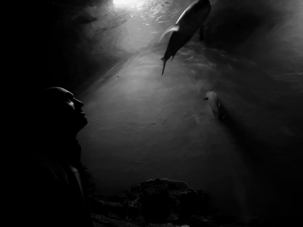 Photograph by Наталья Костинова