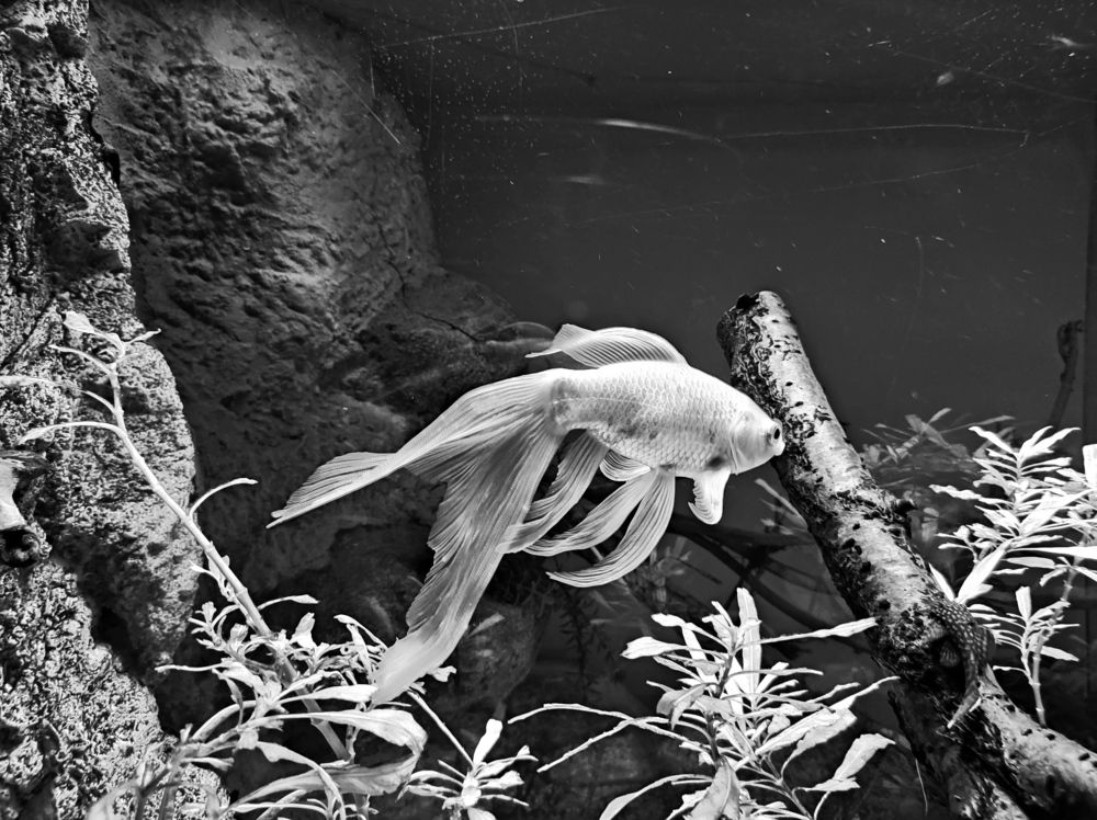 Photograph by Наталья Костинова