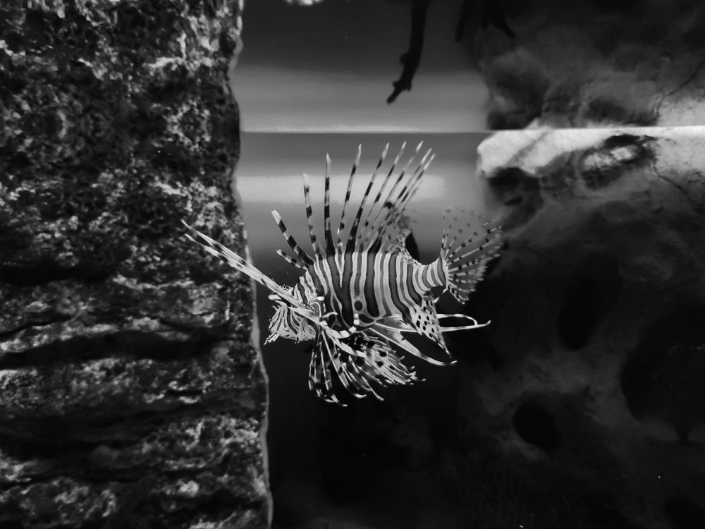 Photograph by Наталья Костинова