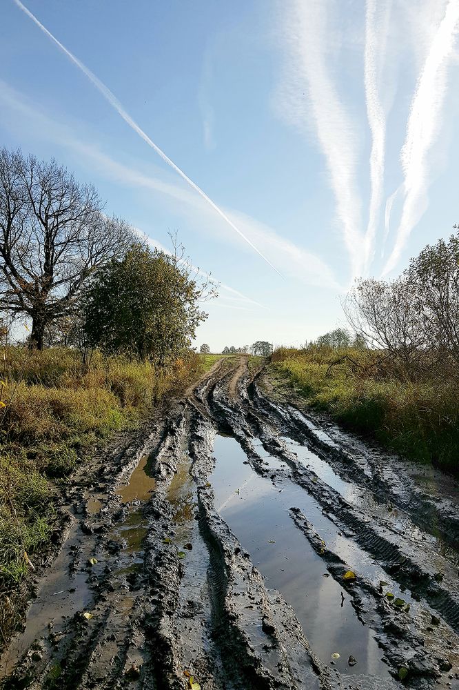 Photograph by Елена Бежина