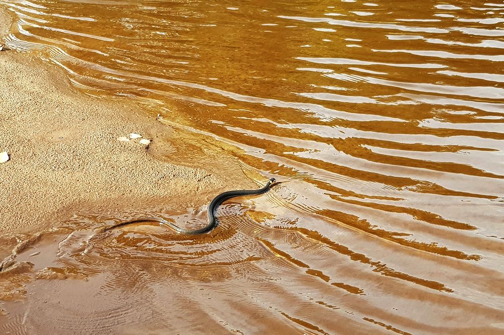 Волною по волнам