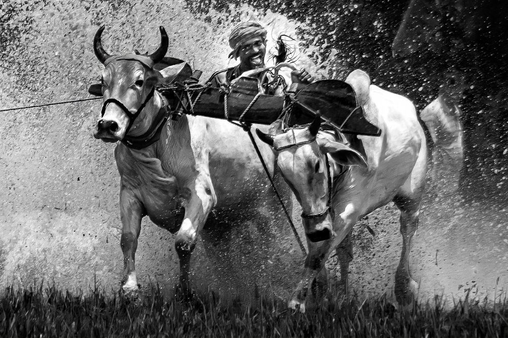 Photograph by Sudipta Das