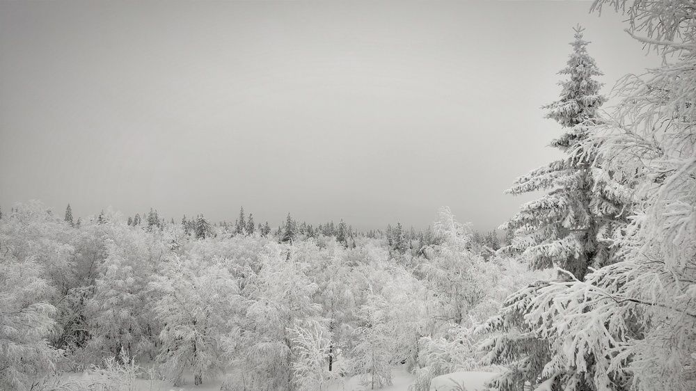 Photograph by Ольга Метлицкая