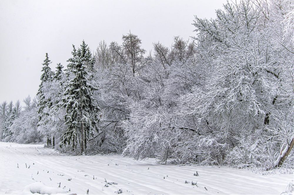 Photograph by Алексей Сиваков
