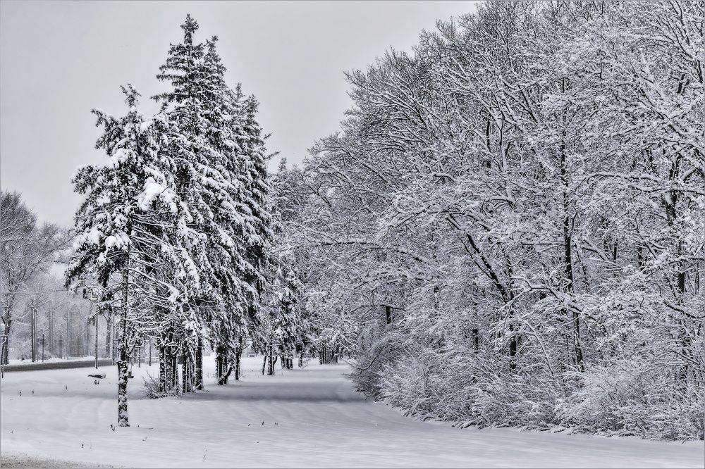 Photograph by Алексей Сиваков