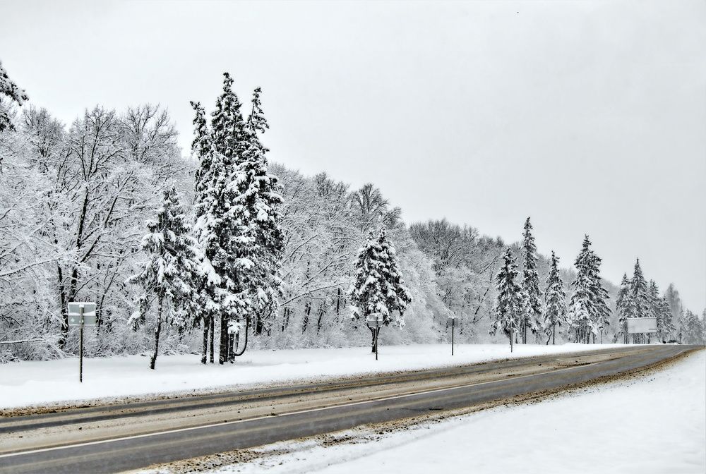 Photograph by Алексей Сиваков