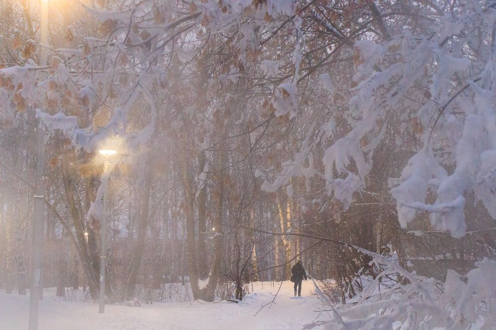 Морозный вечер.