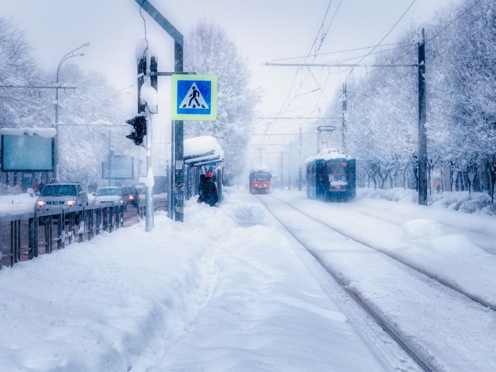 Photograph by Владимир Кваша