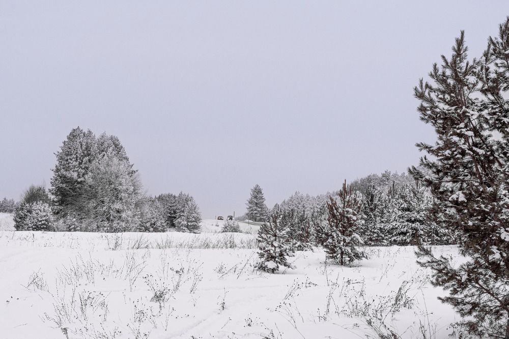 Photograph by Миша Азиатцев