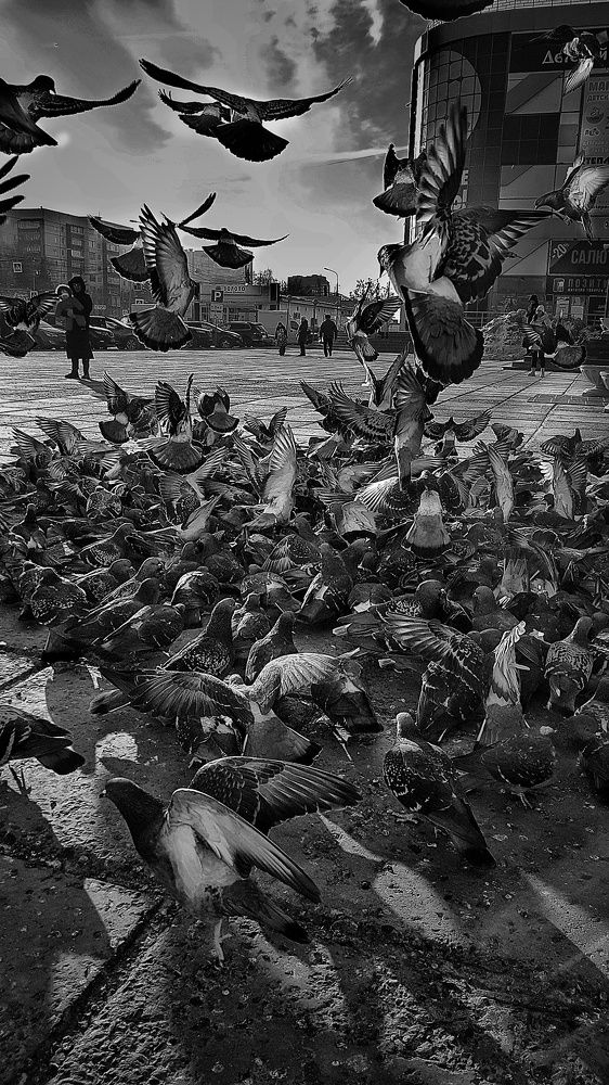 Photograph by Инга Сабанова