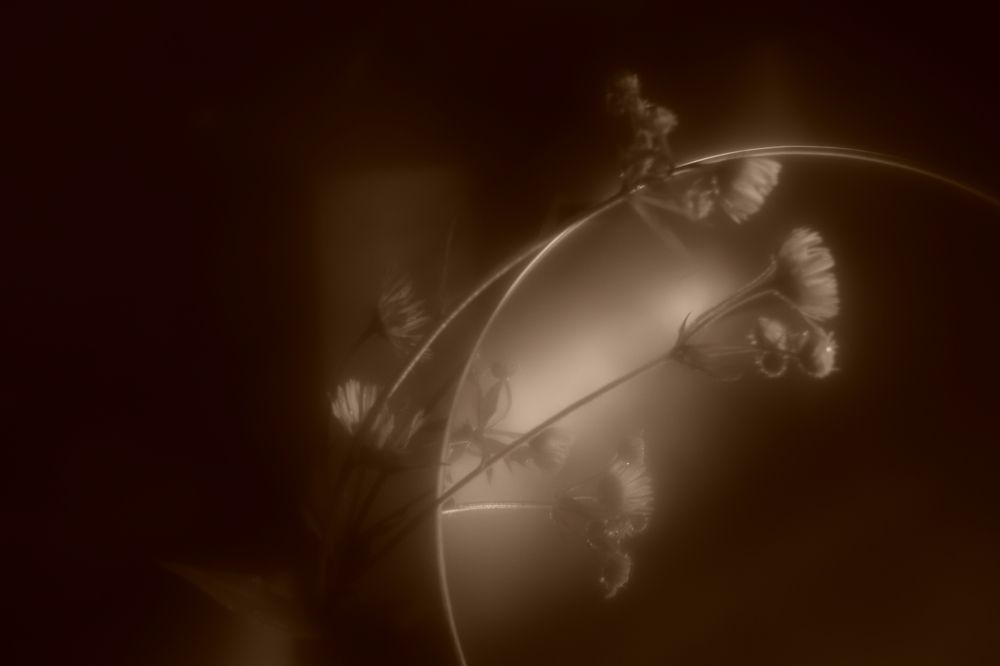 Photograph by Ольга Рыкова