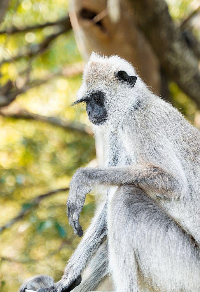 Photograph by Jayakrishna Jayakrishna