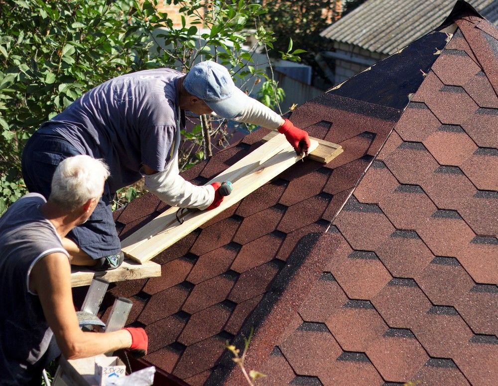 Братья за работой