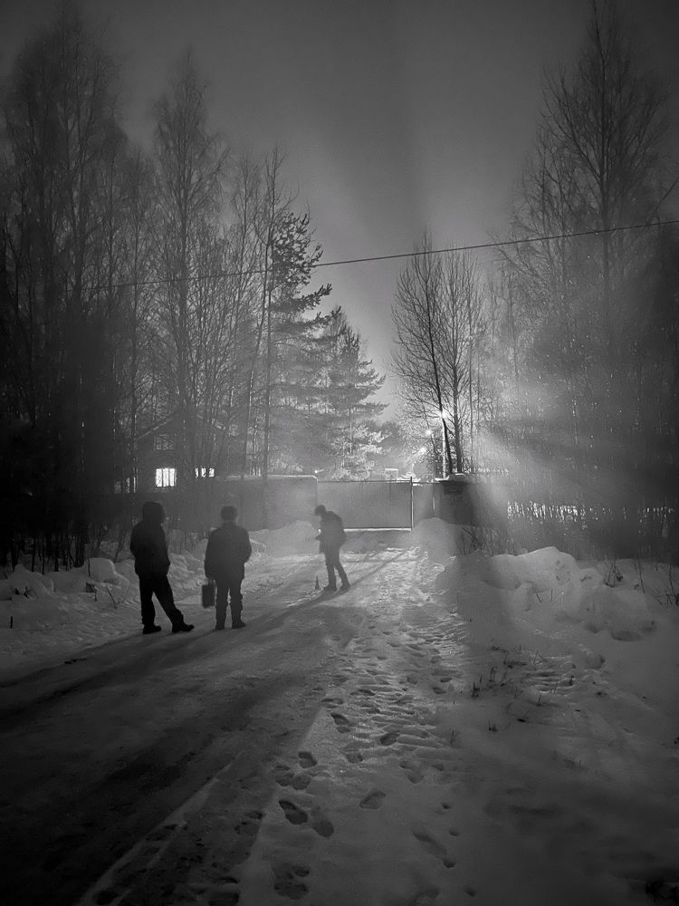 Вечерние тени