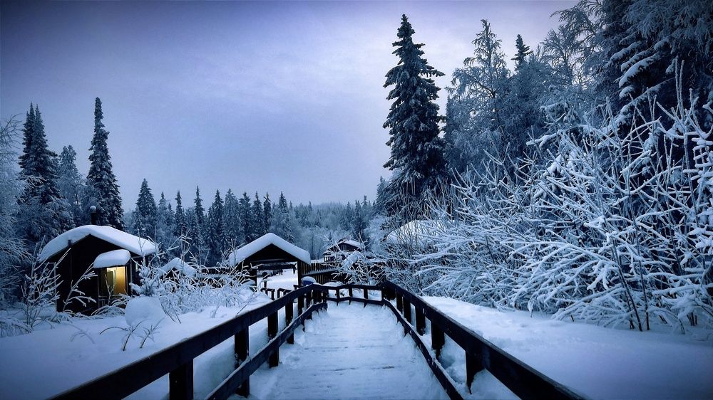 Photograph by Ольга Метлицкая